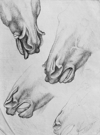Slashed Nostrils of Horses by Antonio Pisanello